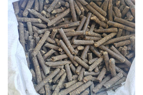 生物颗粒